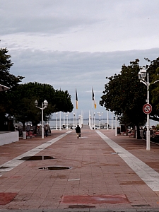 Thumbnail of DSCF1621.JPG