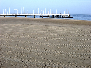 Thumbnail of 1_ete_5.jpg