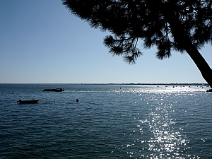 Thumbnail of 4_bassin_19.jpg