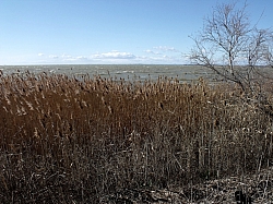 DSCF0771.jpg