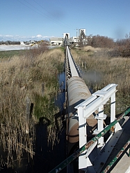 DSCF0837.jpg