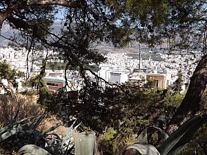 DSCF4980.jpg