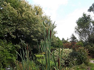jardin_sources_17.jpg