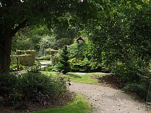 jardin_sources_23.jpg