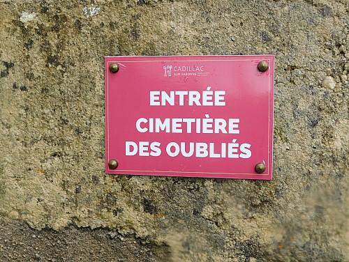 Thumbnail of DSCN5888.JPG