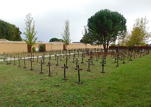 Thumbnail of DSCN5889.jpg