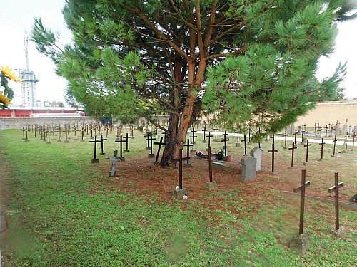 Thumbnail of DSCN5890.jpg