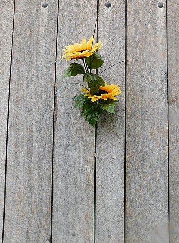 Thumbnail of DSCN5891.jpg