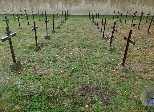 Thumbnail of DSCN5896.jpg