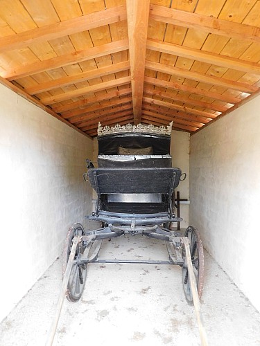 Thumbnail of DSCN5898.jpg