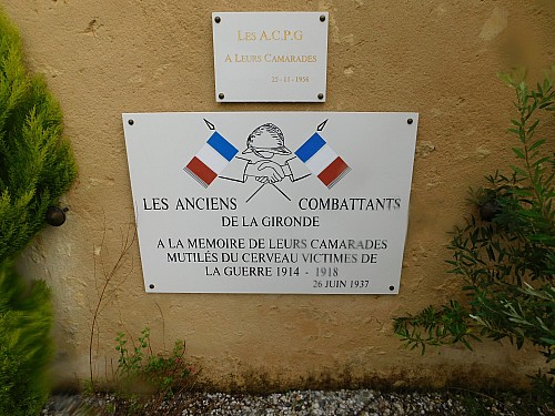 Thumbnail of DSCN5911.jpg