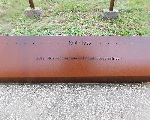 Thumbnail of DSCN5915.jpg