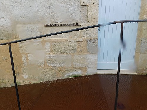 Thumbnail of DSCN5922.jpg