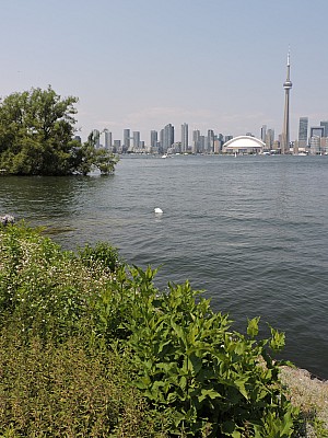 DSCN1821.jpg