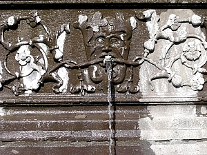 Thumbnail of DSCF8306.jpg
