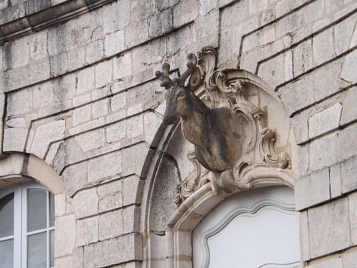 DSCF6089.jpg