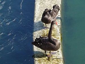 DSCF3118.jpg