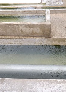 DSCF3147.jpg