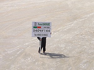 DSCF3394.jpg