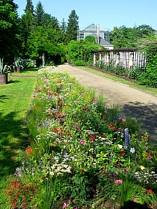Thumbnail of gdansk_oliwa_jardins_16.jpg