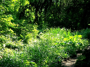 Thumbnail of gdansk_oliwa_jardins_22.jpg