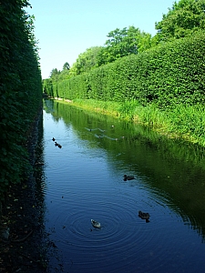 Thumbnail of gdansk_oliwa_jardins_30.jpg