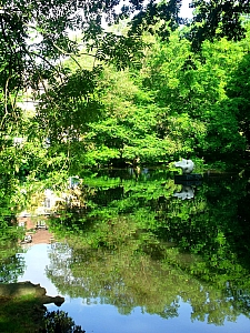 Thumbnail of gdansk_oliwa_jardins_34.jpg