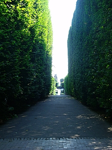 Thumbnail of gdansk_oliwa_jardins_5.jpg