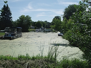 Thumbnail of DSCF1115.JPG