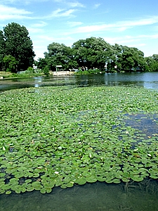 Thumbnail of DSCF1117.JPG