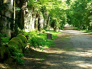 Thumbnail of kornik_arboretum_3.jpg