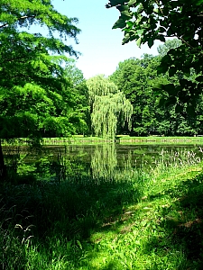 Thumbnail of kornik_arboretum_4.jpg