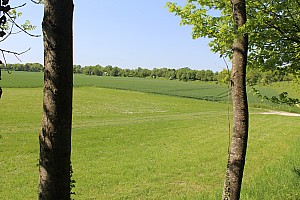 Thumbnail of IMG_7632.JPG