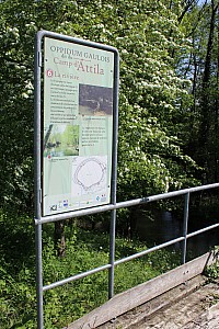 Thumbnail of IMG_7634.JPG