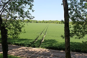 Thumbnail of IMG_7636.JPG