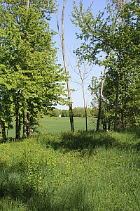 Thumbnail of IMG_7639.JPG