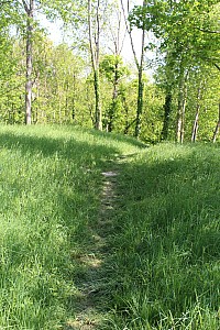 Thumbnail of IMG_7640.JPG