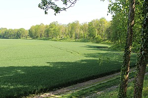 Thumbnail of IMG_7644.JPG