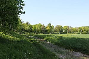 Thumbnail of IMG_7649.JPG