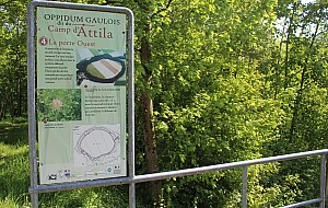 Thumbnail of IMG_7653.JPG