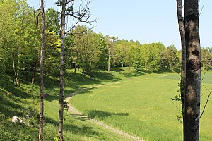 Thumbnail of IMG_7655.JPG