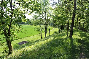 Thumbnail of IMG_7659.JPG