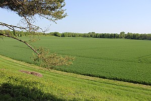 Thumbnail of IMG_7663.JPG