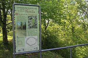 Thumbnail of IMG_7665.JPG