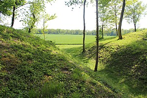 Thumbnail of IMG_7671.JPG