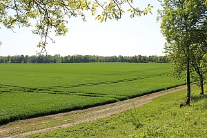 Thumbnail of IMG_7684.JPG