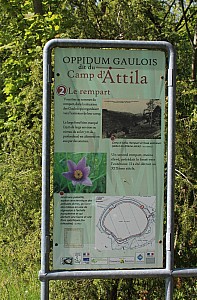 Thumbnail of IMG_7689.JPG