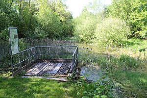 Thumbnail of IMG_7705.JPG