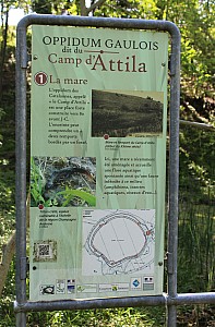 Thumbnail of IMG_7706.JPG