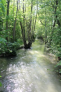 Thumbnail of IMG_7719.jpg